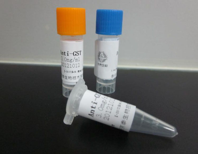 化工品國際貨代的報關流程